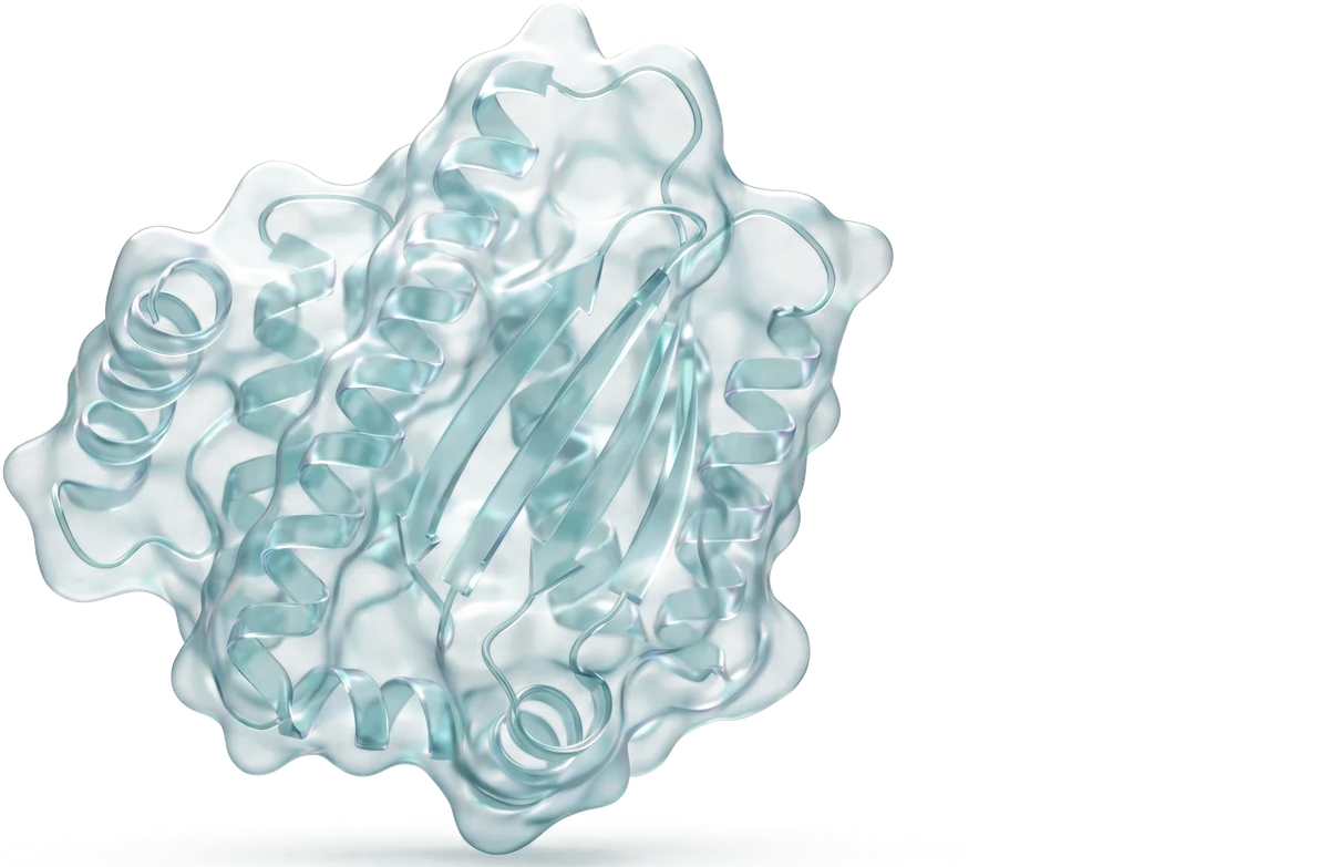 A therapeutic protein structure modeled by the engine
